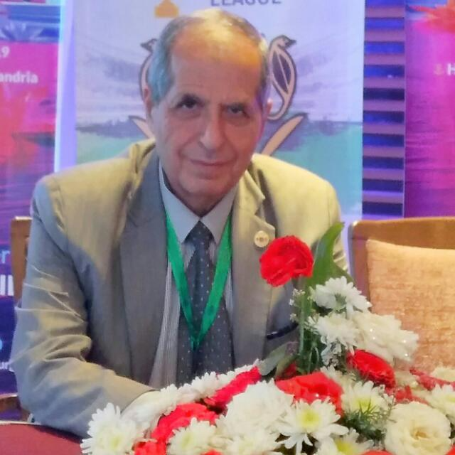 Mostafa Rizk